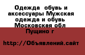 Одежда, обувь и аксессуары Мужская одежда и обувь. Московская обл.,Пущино г.